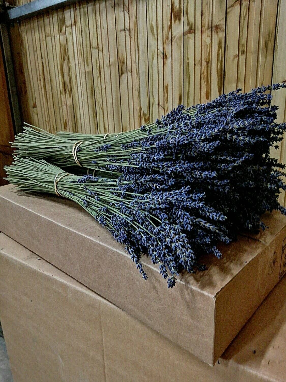 Lavender Bouquets from French Provence