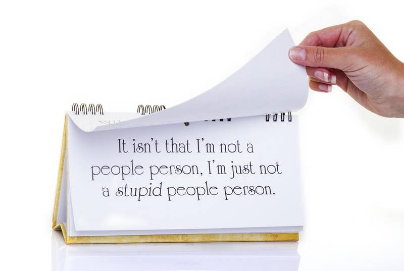 Witty Insults: A Flipbook for Keeping Idiots at Bay