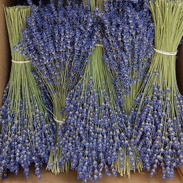 Lavender Bouquets from French Provence